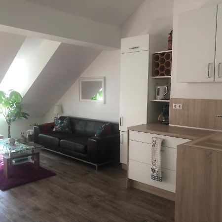 Old Bridge View Apartment Heidelberg Luaran gambar