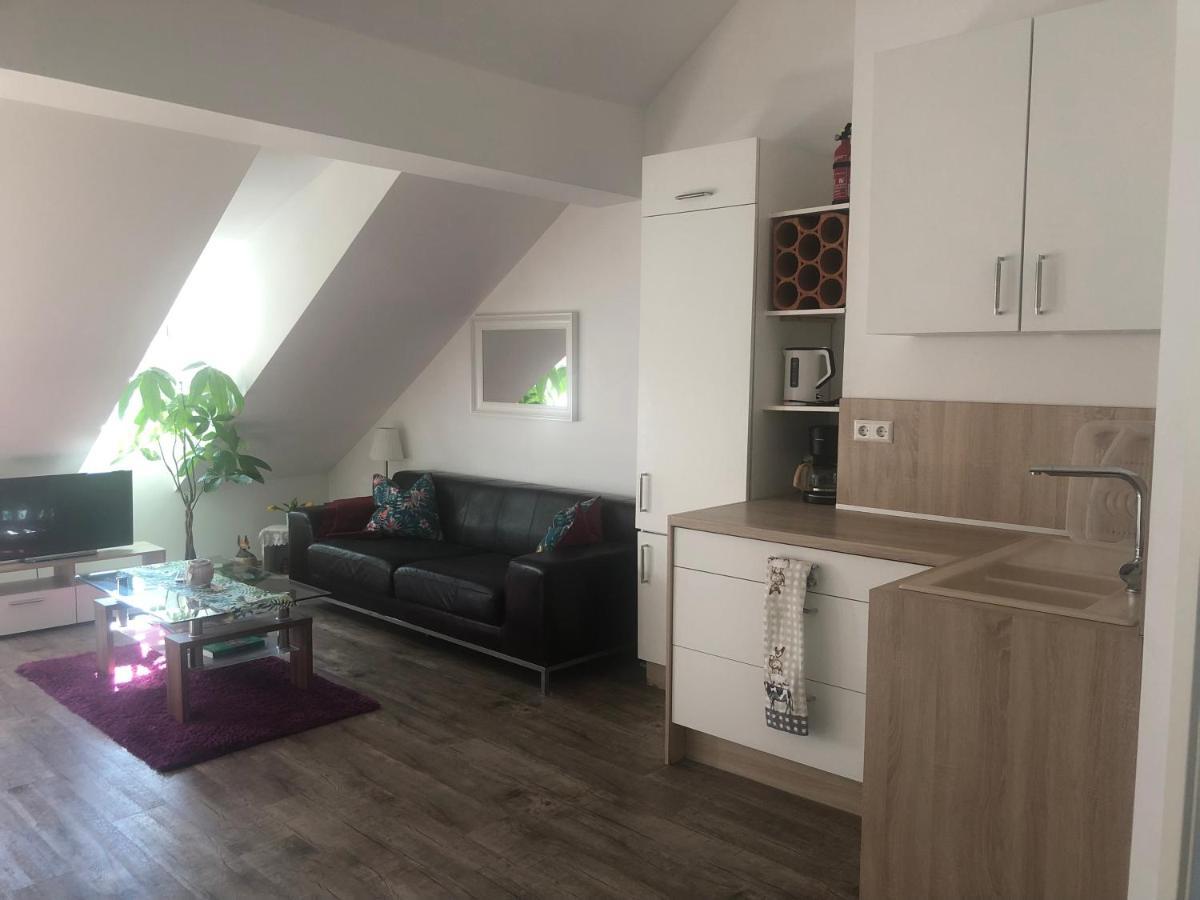 Old Bridge View Apartment Heidelberg Luaran gambar