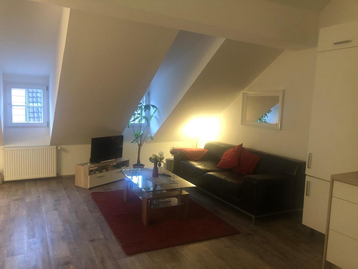 Old Bridge View Apartment Heidelberg Luaran gambar