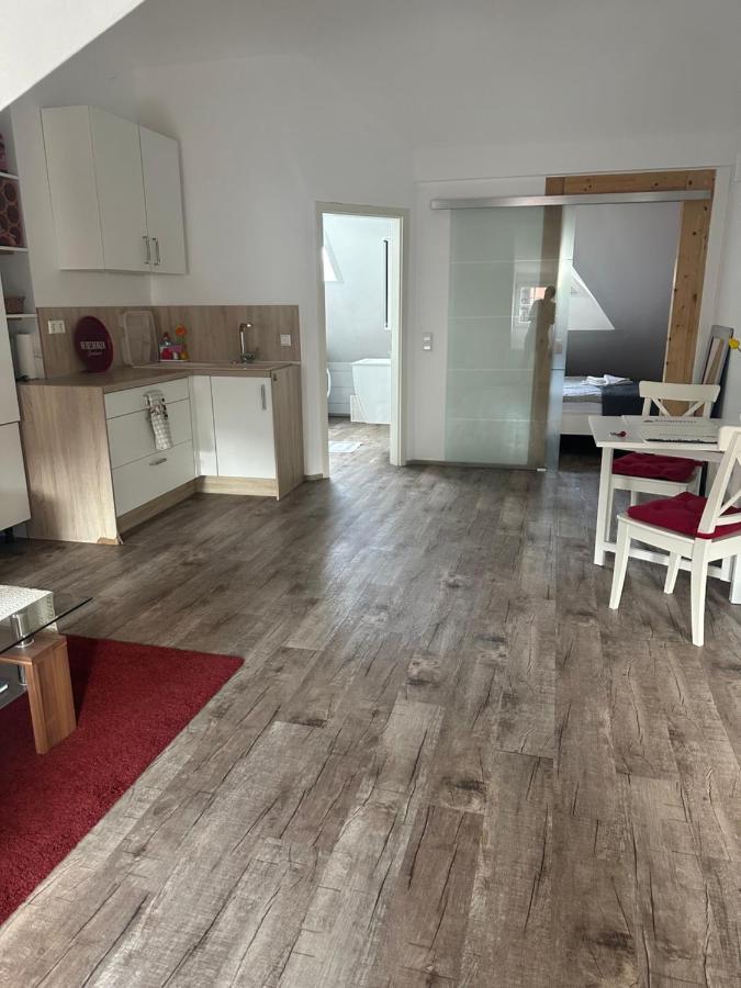Old Bridge View Apartment Heidelberg Luaran gambar